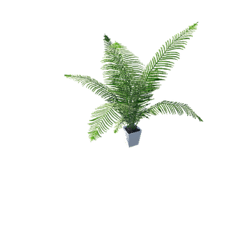 ARECA PALM Realistic plant Vol 1